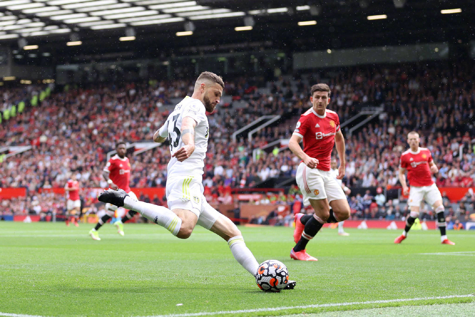 前途的新星 前途的新星